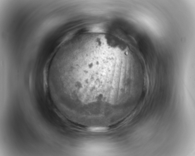 X0000088391487200706051108