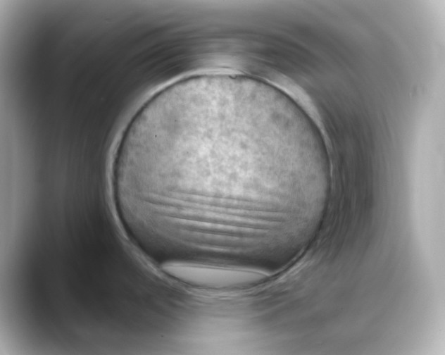 X0000088391488200706051108