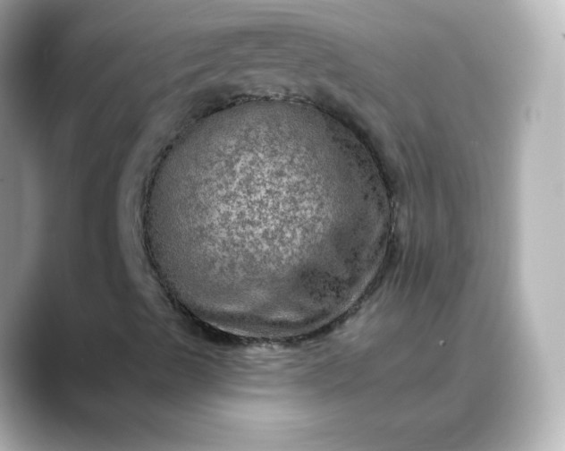 X0000088391489200706051108