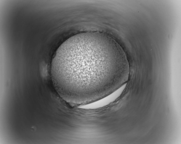 X0000088391490200706051108