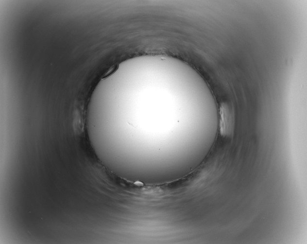 X0000088391491200706051108