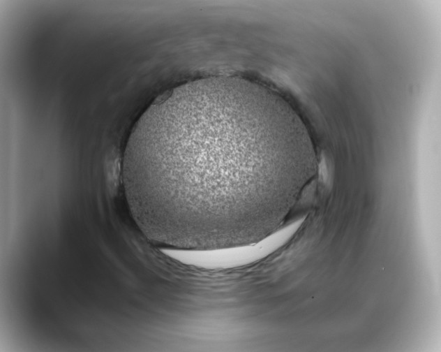 X0000088391492200706051108