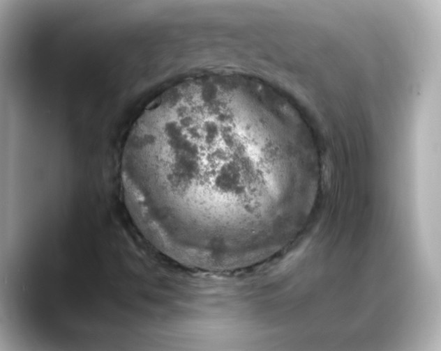 X0000088391494200706051108