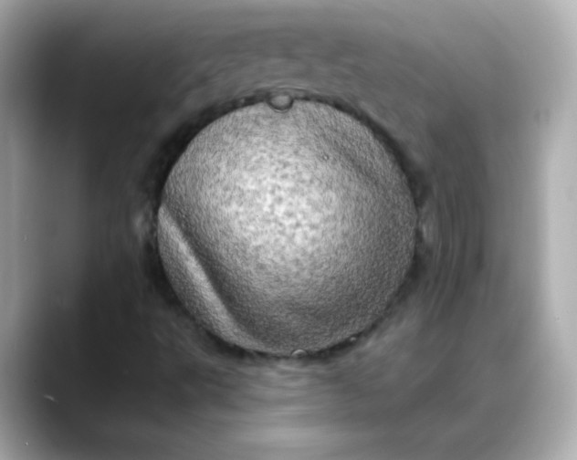 X0000088391495200706051108