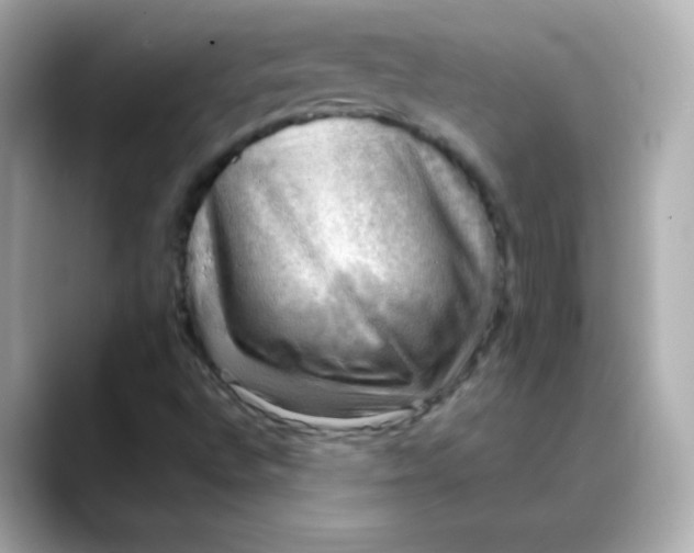 X0000088391496200706051108