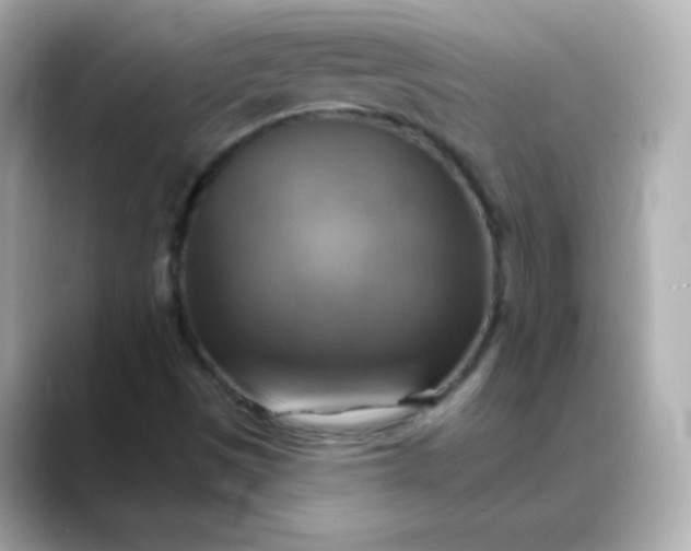 X0000088391497200706051108