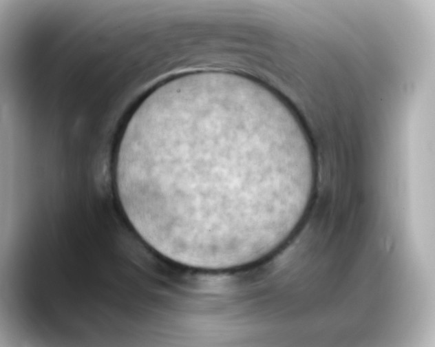 X0000088391498200706051108