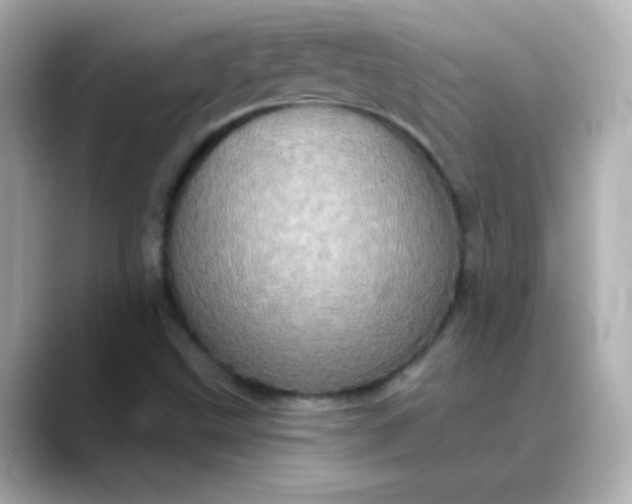 X0000088391499200706051108