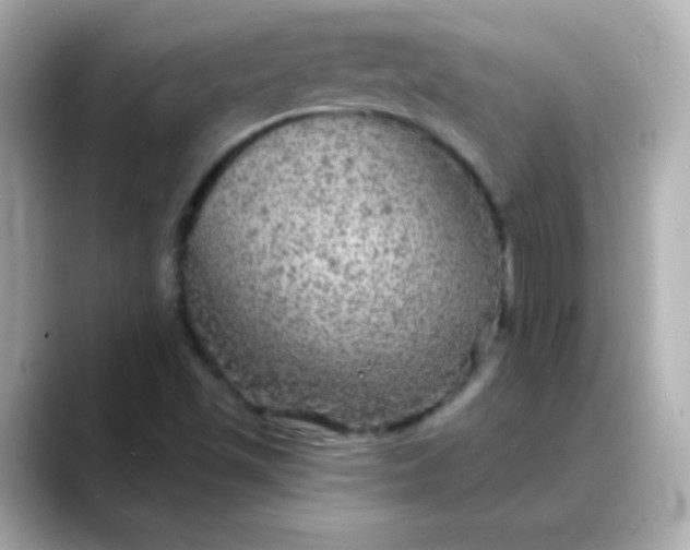 X0000088391501200706051108