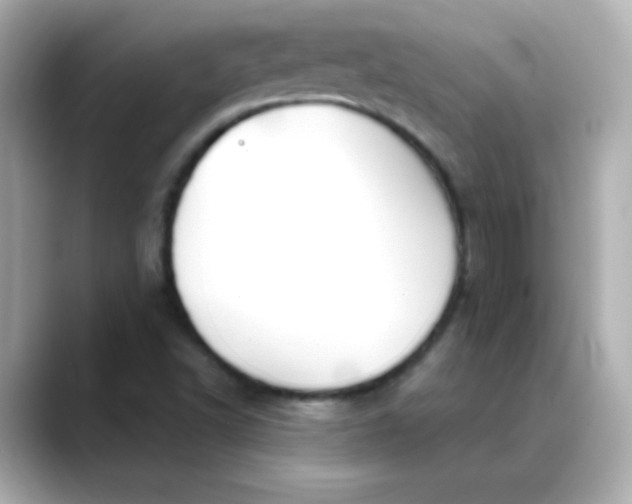 X0000088391502200706051108