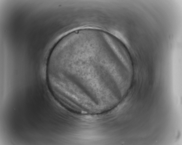 X0000088391504200706051108