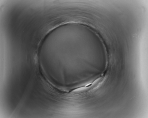 X0000088391505200706051108