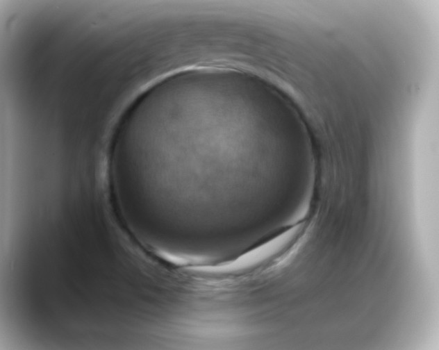 X0000088391506200706051108