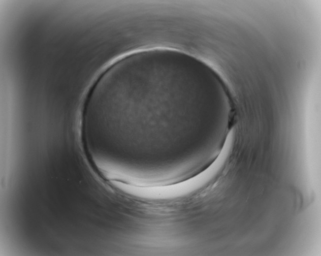 X0000088391508200706051108