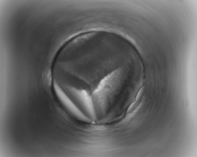 X0000088391509200706051108