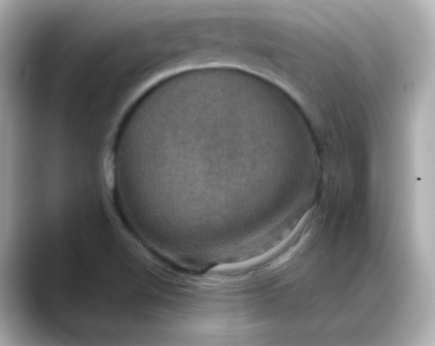 X0000088391510200706051108