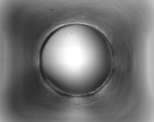 X0000088391511200706051108