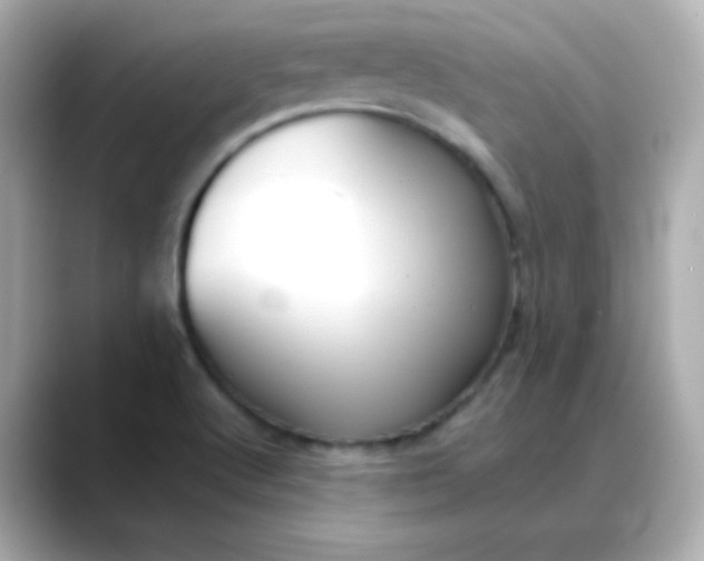 X0000088391512200706051108