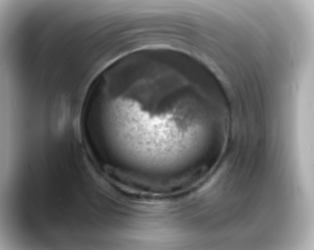 X0000088391513200706051108