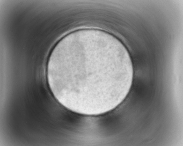 X0000088391514200706051108