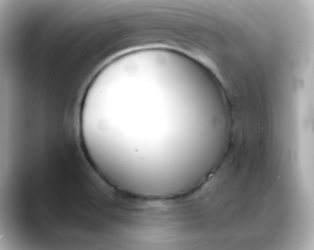 X0000088391516200706051108