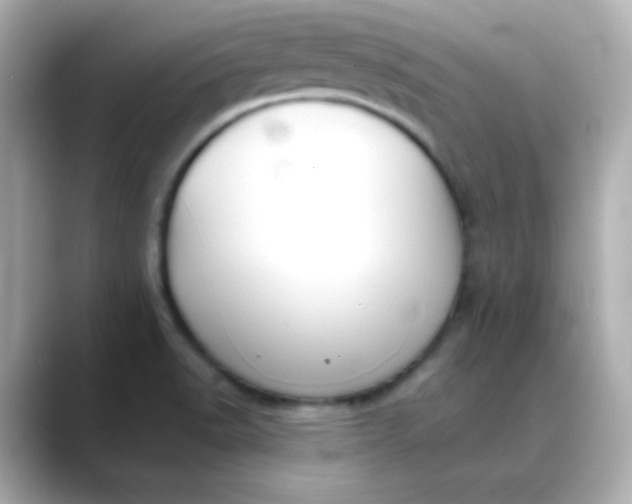 X0000088391518200706051108