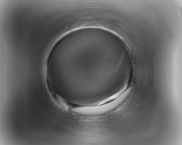 X0000088391519200706051108