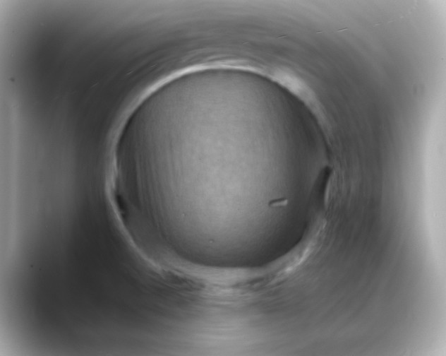 X0000088391520200706051108