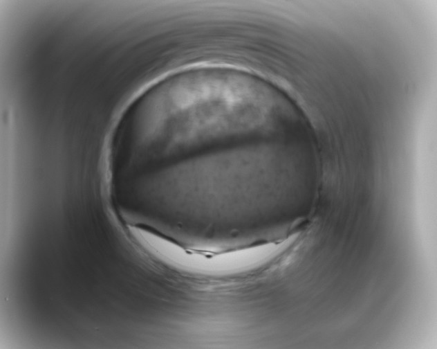 X0000088391522200706051108