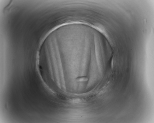 X0000088391524200706051108