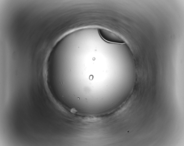 X0000088391526200706051108