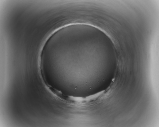 X0000088391527200706051108