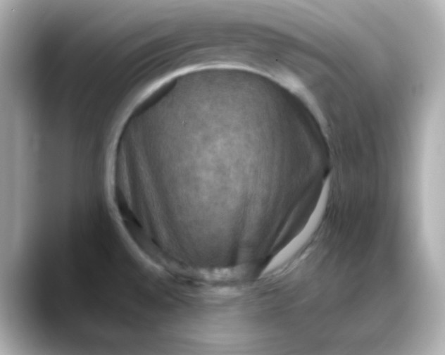 X0000088391528200706051108