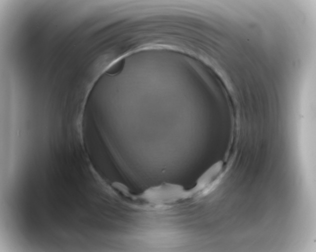 X0000088391529200706051108