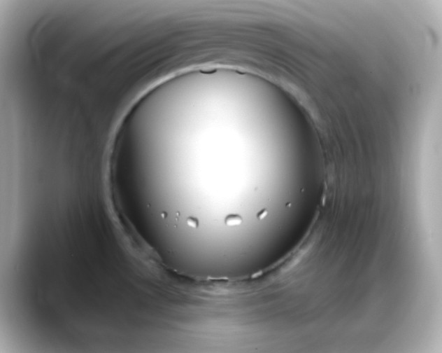 X0000088391530200706051108