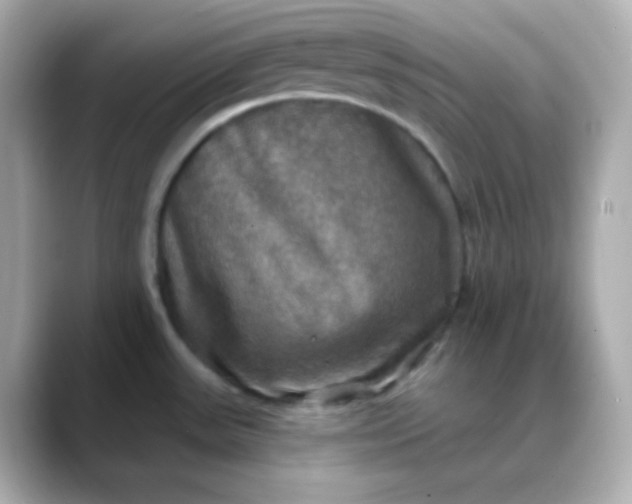 X0000088391531200706051108