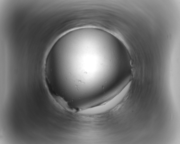 X0000088391532200706051108