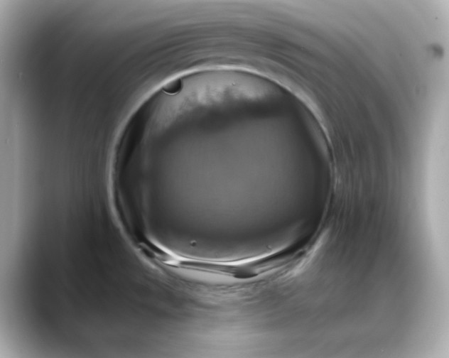 X0000088391533200706051108