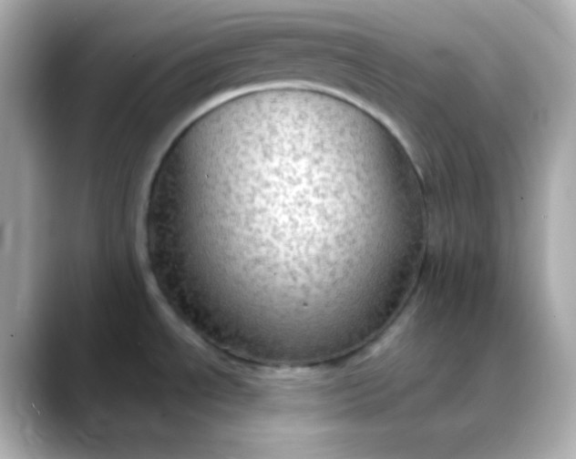 X0000088391534200706051108