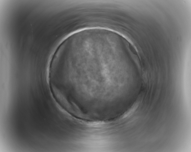 X0000088391535200706051108