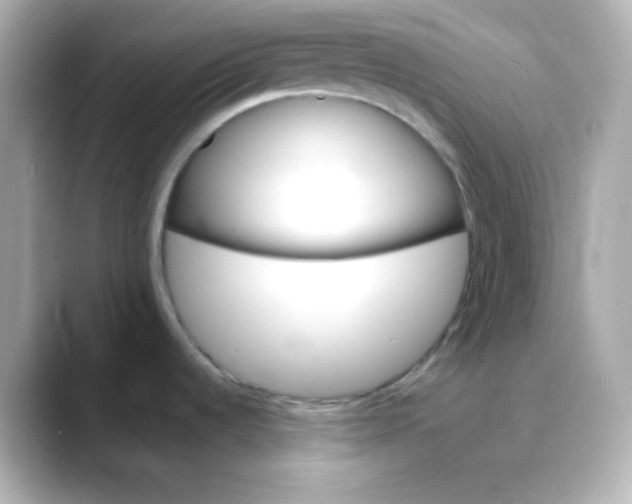 X0000088391536200706051108