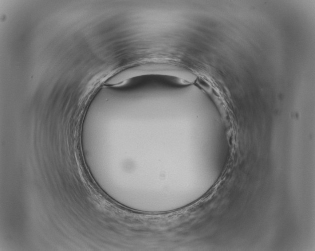 X0000088390001200706121221