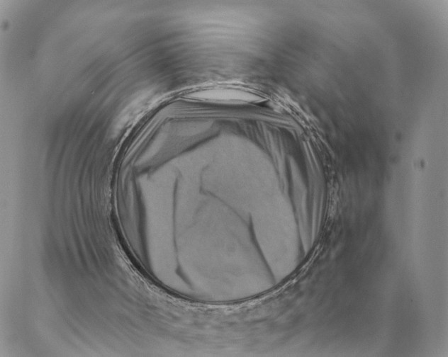 X0000088390002200706121221