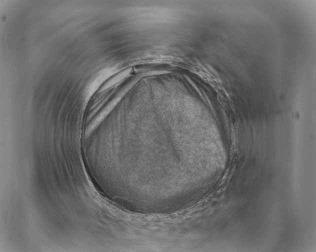 X0000088390003200706121221