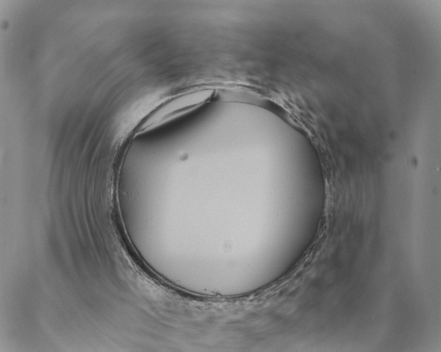 X0000088390005200706121221