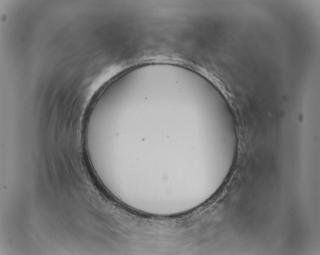 X0000088390008200706121221