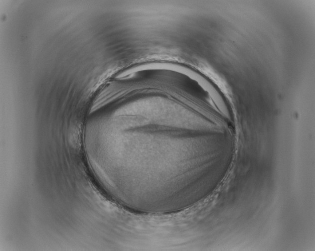 X0000088390009200706121221