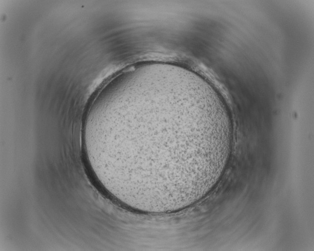 X0000088390011200706121221