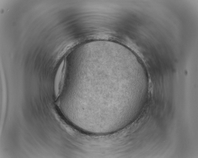 X0000088390013200706121221