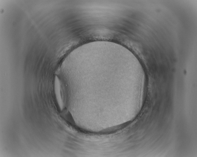 X0000088390017200706121221